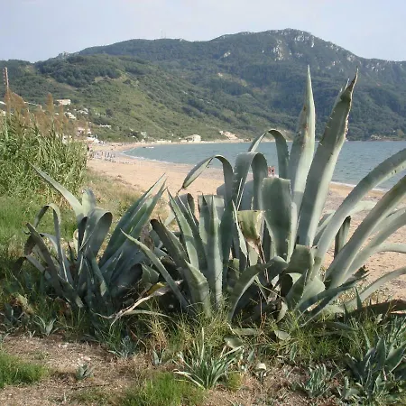 Casa vacanze Traditional Family House