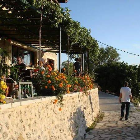 Traditional Family House